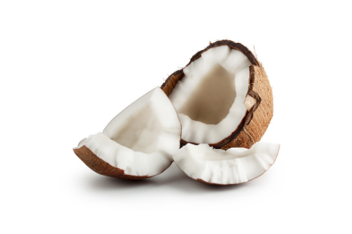 Coconut