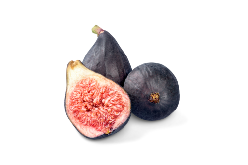 Fig